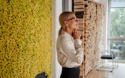 Una consultora, plan o certificación en sostenibilidad para mi empresa.